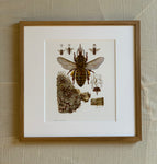 Antique Bee 1 Bookplate