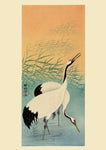 Two Cranes and Sunset by Koson